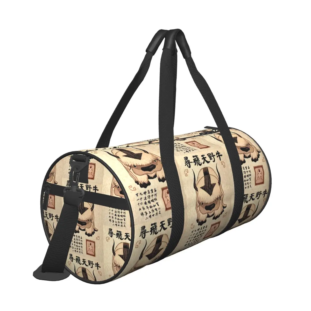 Avatar The Last Airbender Lost - Sports Equipment Poster review and price