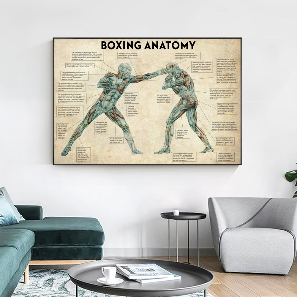 Vintage Boxing Body Anatomy Po - Sports Equipment Poster review and price