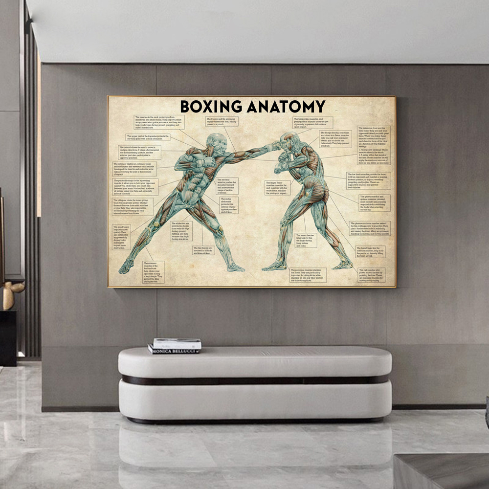 Vintage Boxing Body Anatomy Po - Sports Equipment Poster review and price