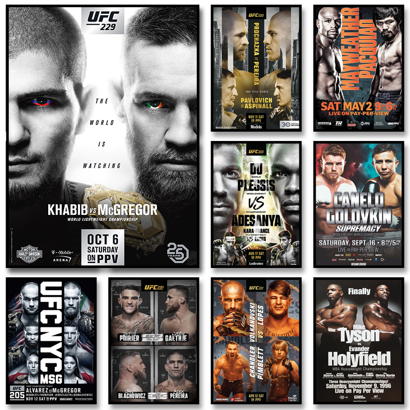 Championship Title Fight Poste - Sports Equipment Poster review and price