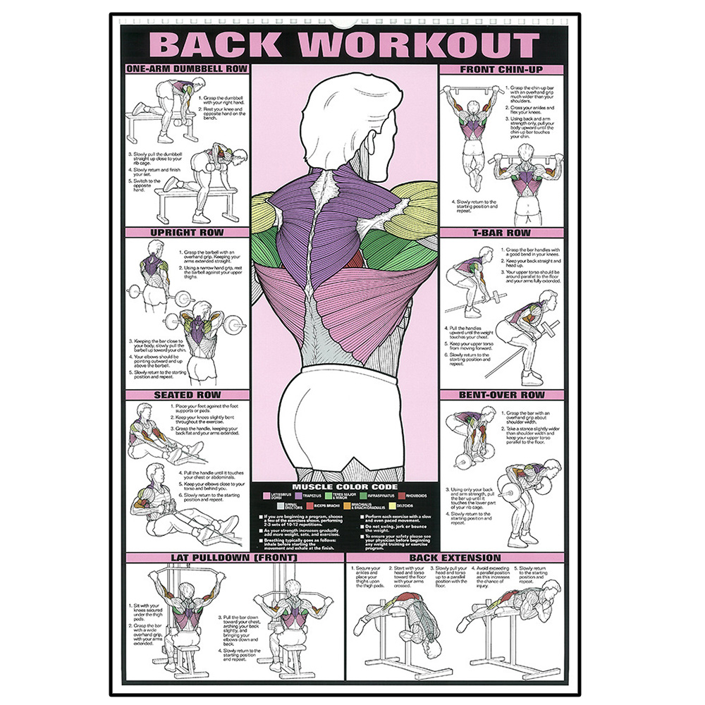 Workout Fitness Activities Van - Sports Equipment Poster review and price