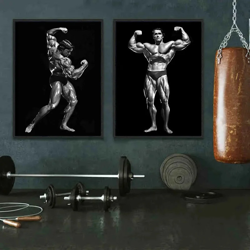 Arnold Schwarzenegger Bodybuil - Sports Equipment Poster review and price